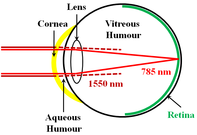 Illustration of the human eye showing the focus of visible radiation on the retina and absorption of 1,550 nm radiation by the cornea, aqueous and vitreous humor. Damage to the retina is permanent, while damage to the cornea is temporary, but should still be avoided.